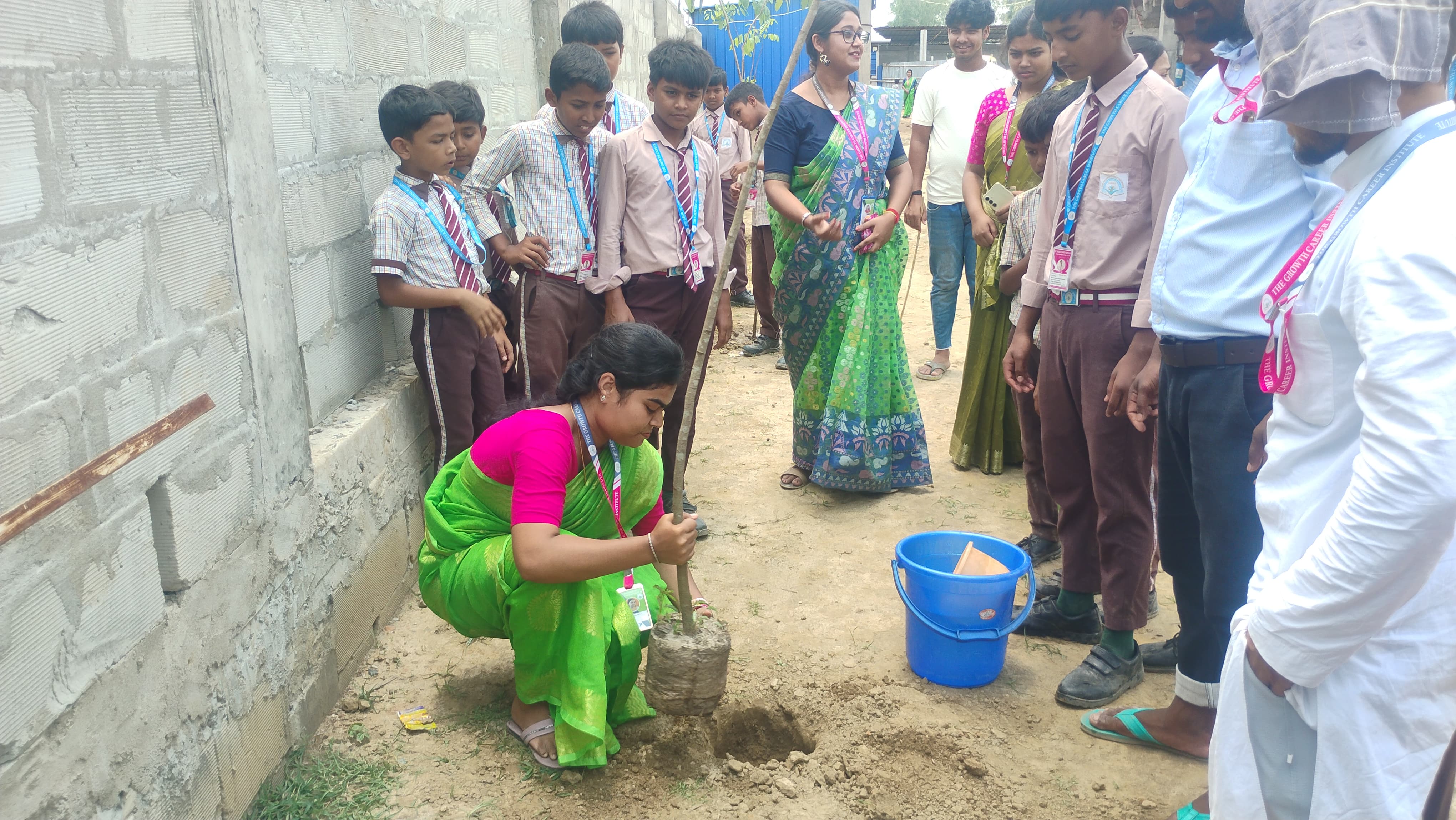 Tree plantation activity